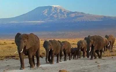 MOUNT KILIMANJARO