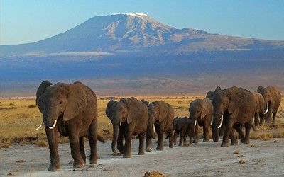 MOUNT KILIMANJARO