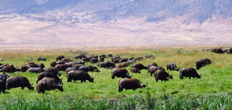Arusha National Park