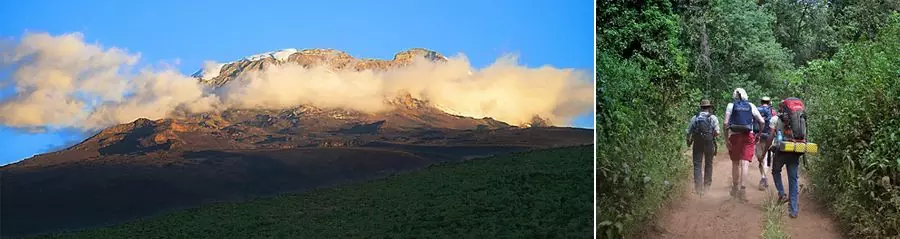 Kilimanjaro mountain trekking Londorossi Route