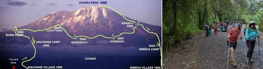 Kilimanjaro mountain trekking Machame Route
