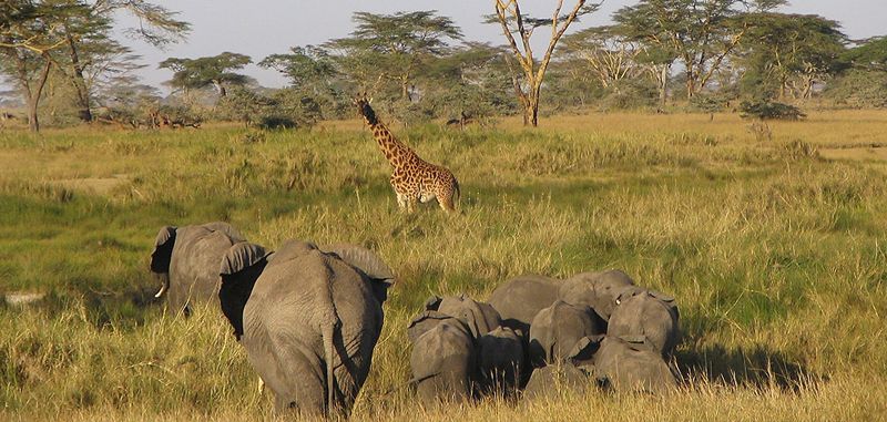 Serengeti National Park