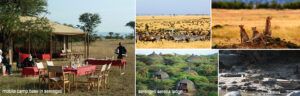 serengeti_7days