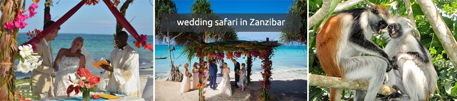 wedding safari in Zanzibar - 11 Days Tanzania Safari Tour