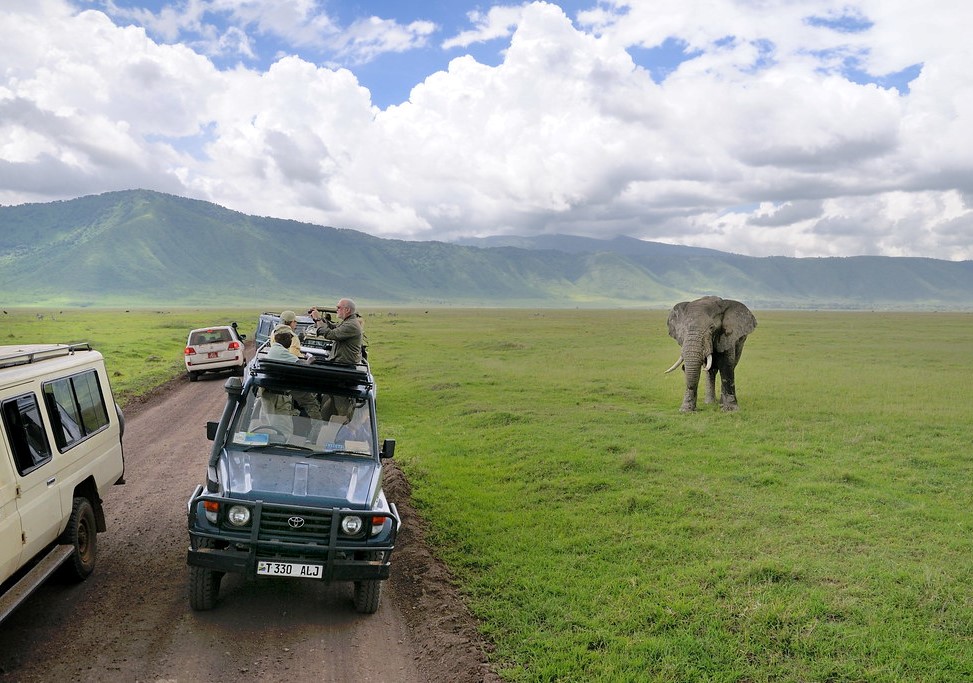 Safari experience in the Ngorongoro Crater
