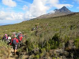 trekking mount kilimanajro