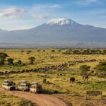 kilimanjaro-mountain-to-serengeti